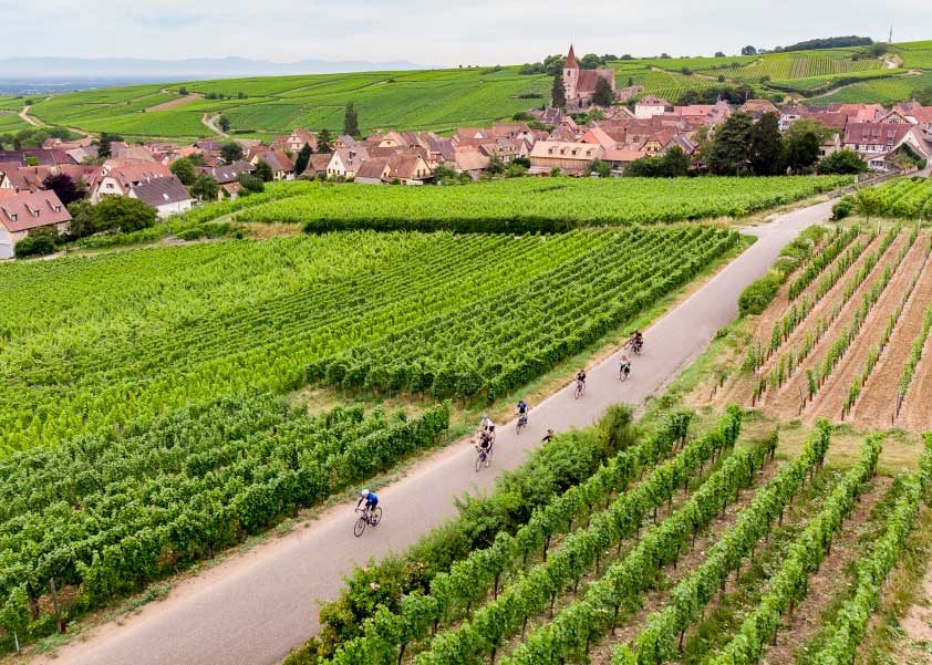 France Vineyard Bikers