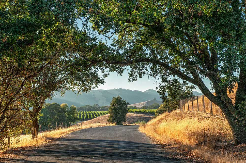 Backroads Wine Country