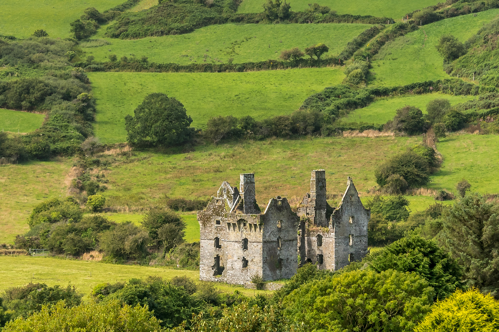 Estate Ireland