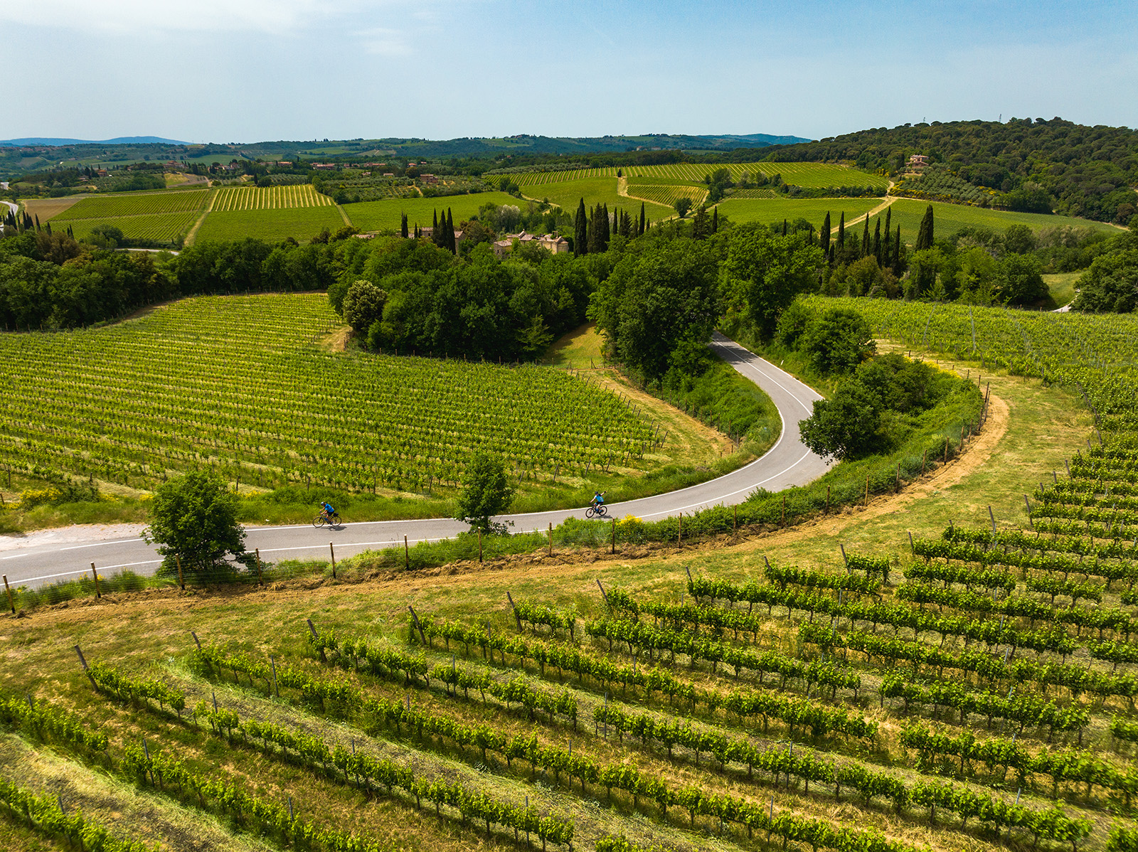 Two guests cycling down vineyard road towards villa.