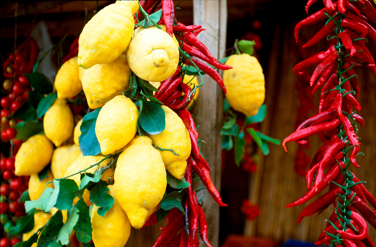Shot of hanging lemons, drying chili peppers.