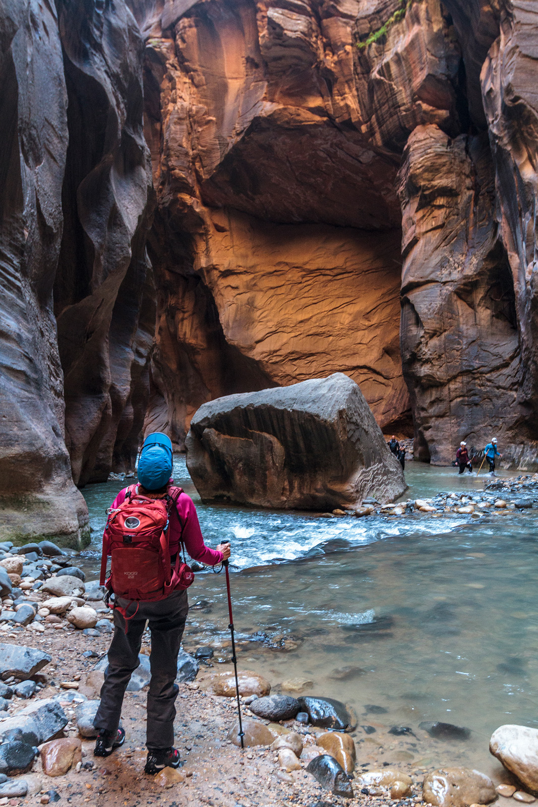 Guest in stream of canyon in Zion + Bryce