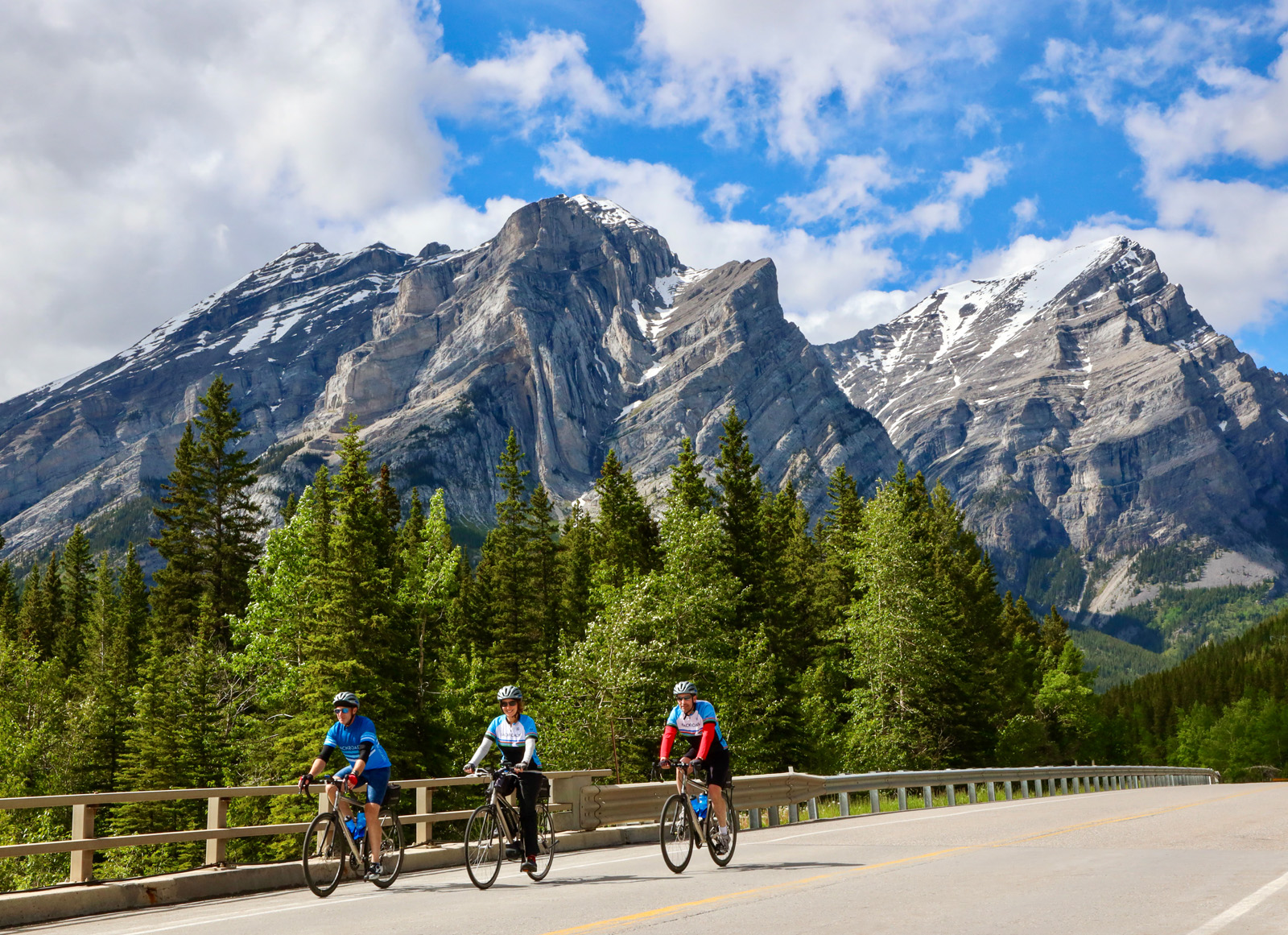 Three people riding bikes on an asphalt road, with tall pine trees and snowy mountains in the background