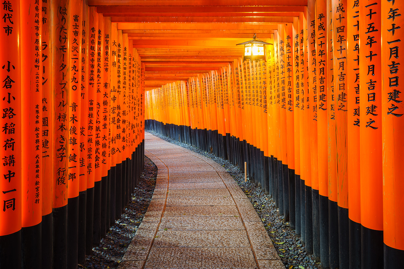 Pathway covered with red poles with Japanese writing on them