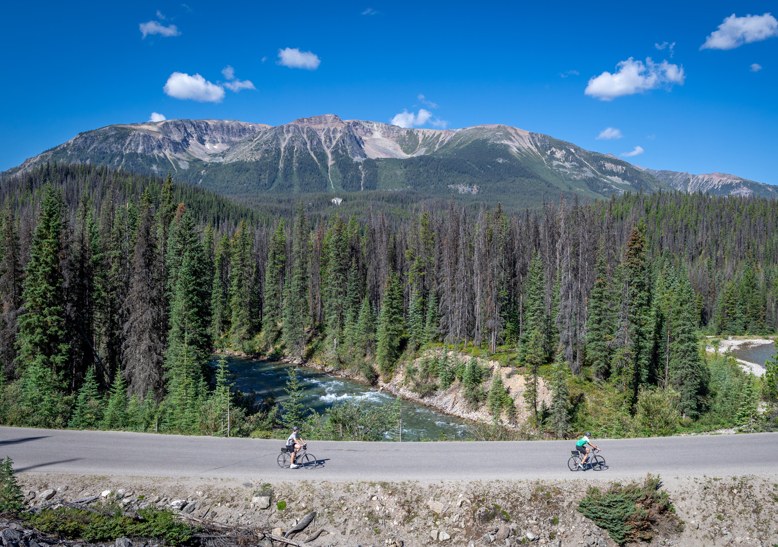 cyclists riding on tree lined road