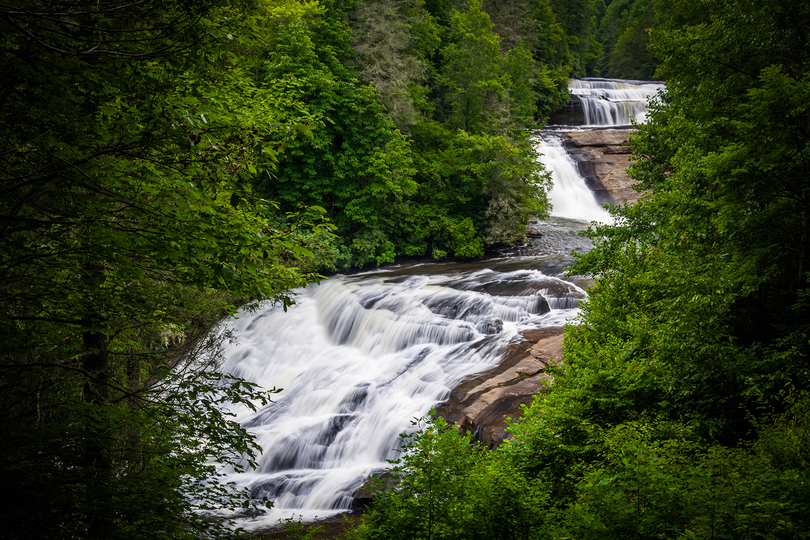 River with a small waterfall, surrounded by tall trees in the forest
