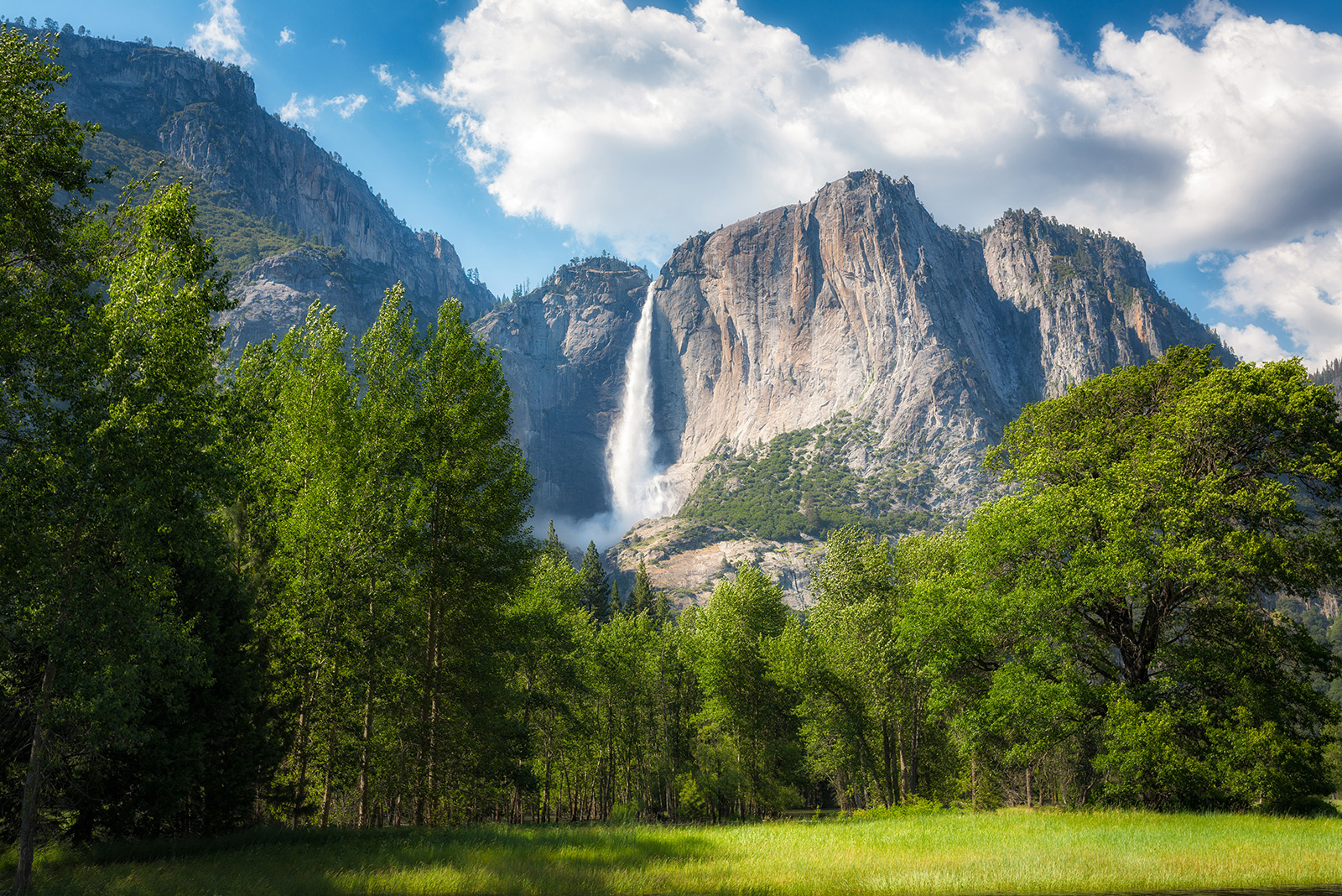 Large grass valley with tall trees and a mountain in the distance