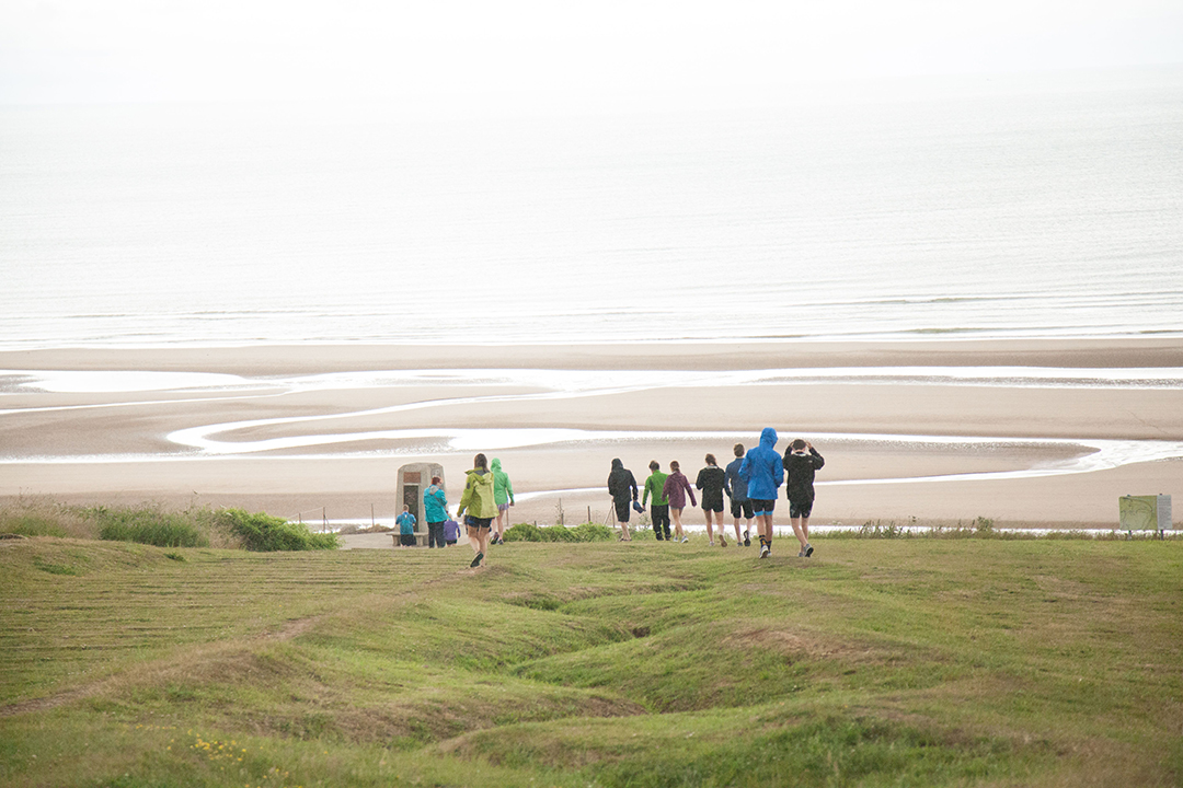 Group of people descending a grassy hill towards a beach