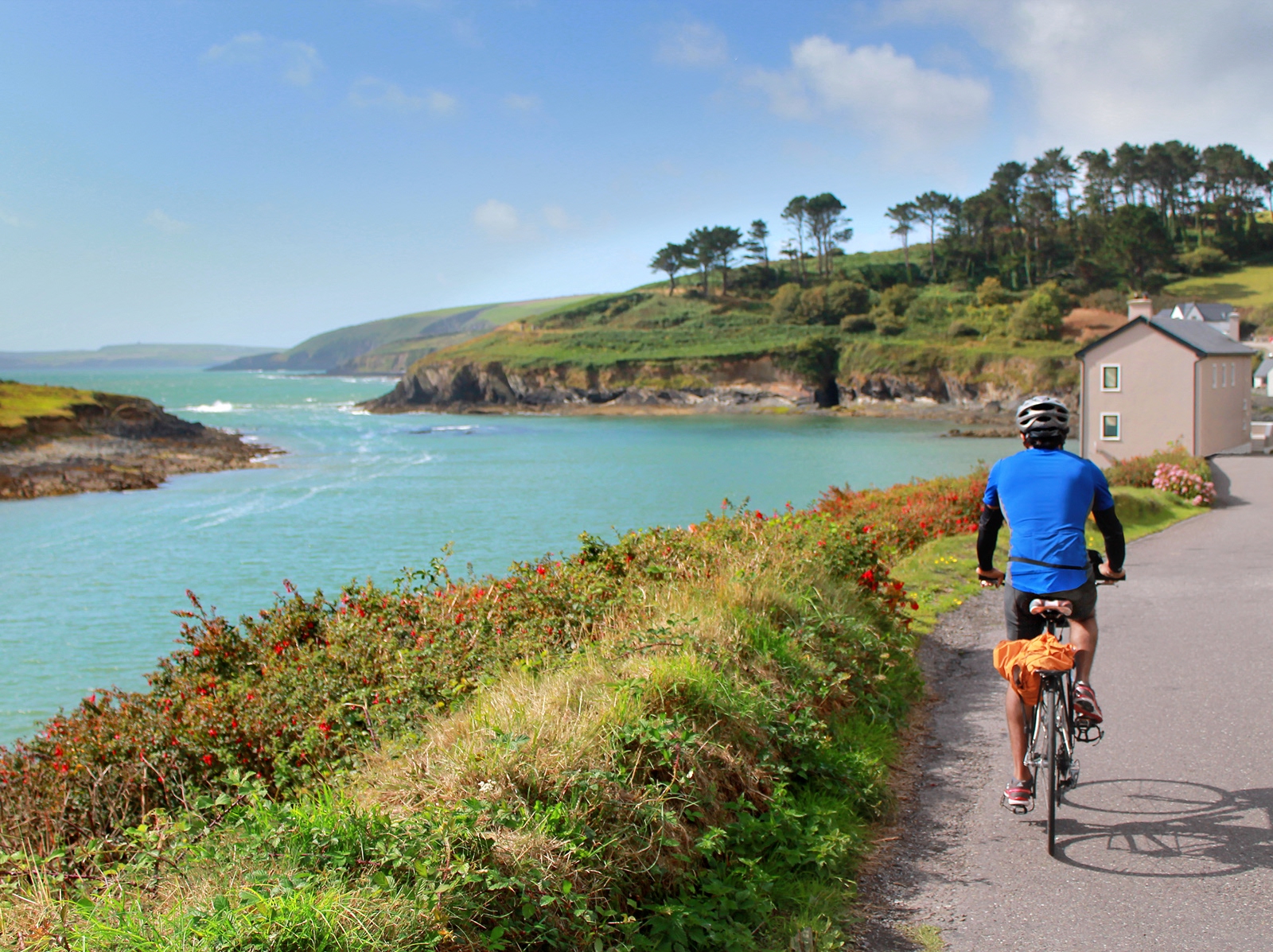 Man in a blue jersey, riding a bike on a road along a large lake