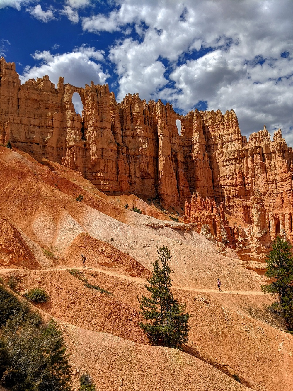 Orange canyon with green trees and cloudy skies