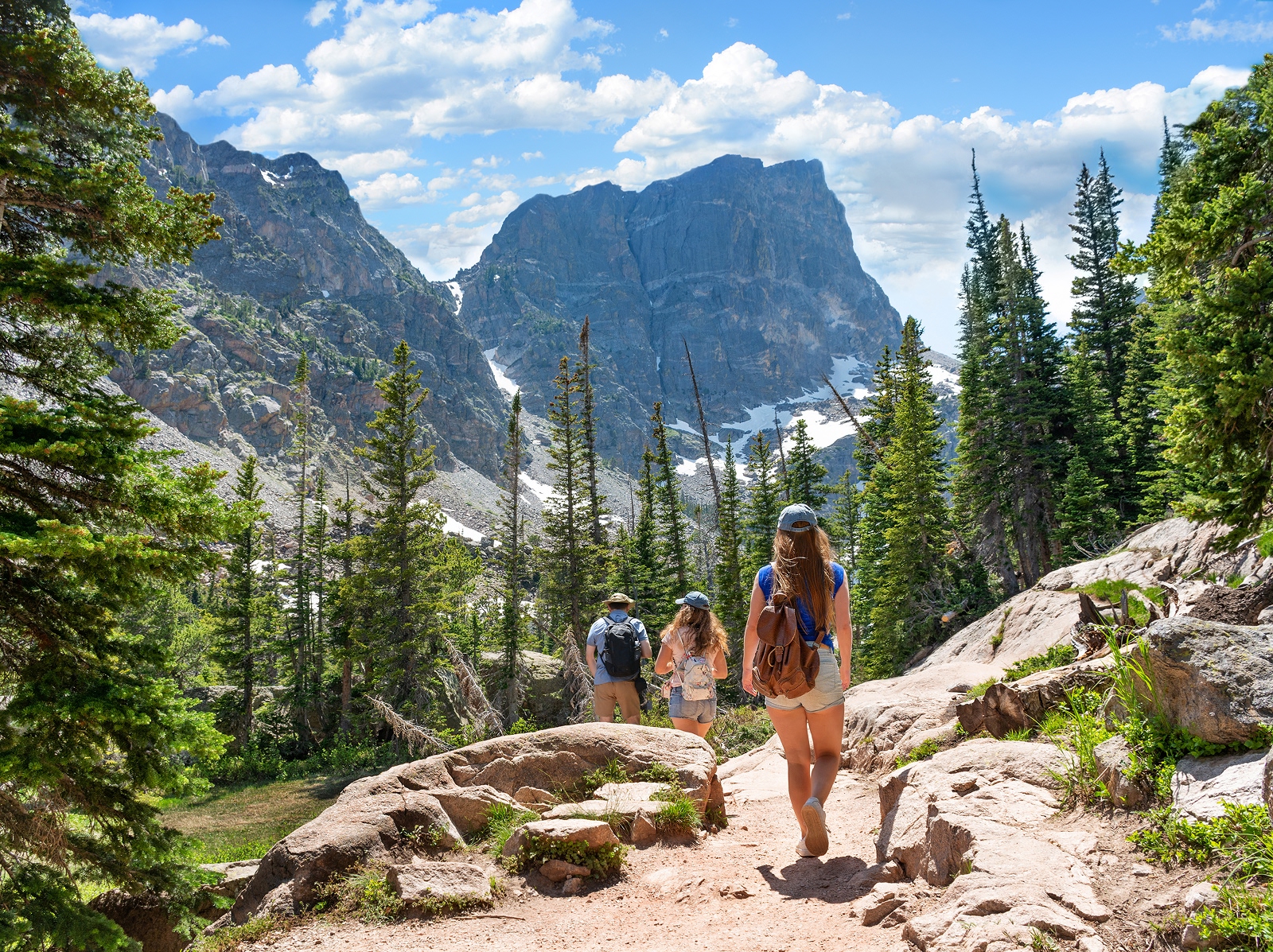 Group of people walking down a gravel trail on a hill, surrounded by tall trees