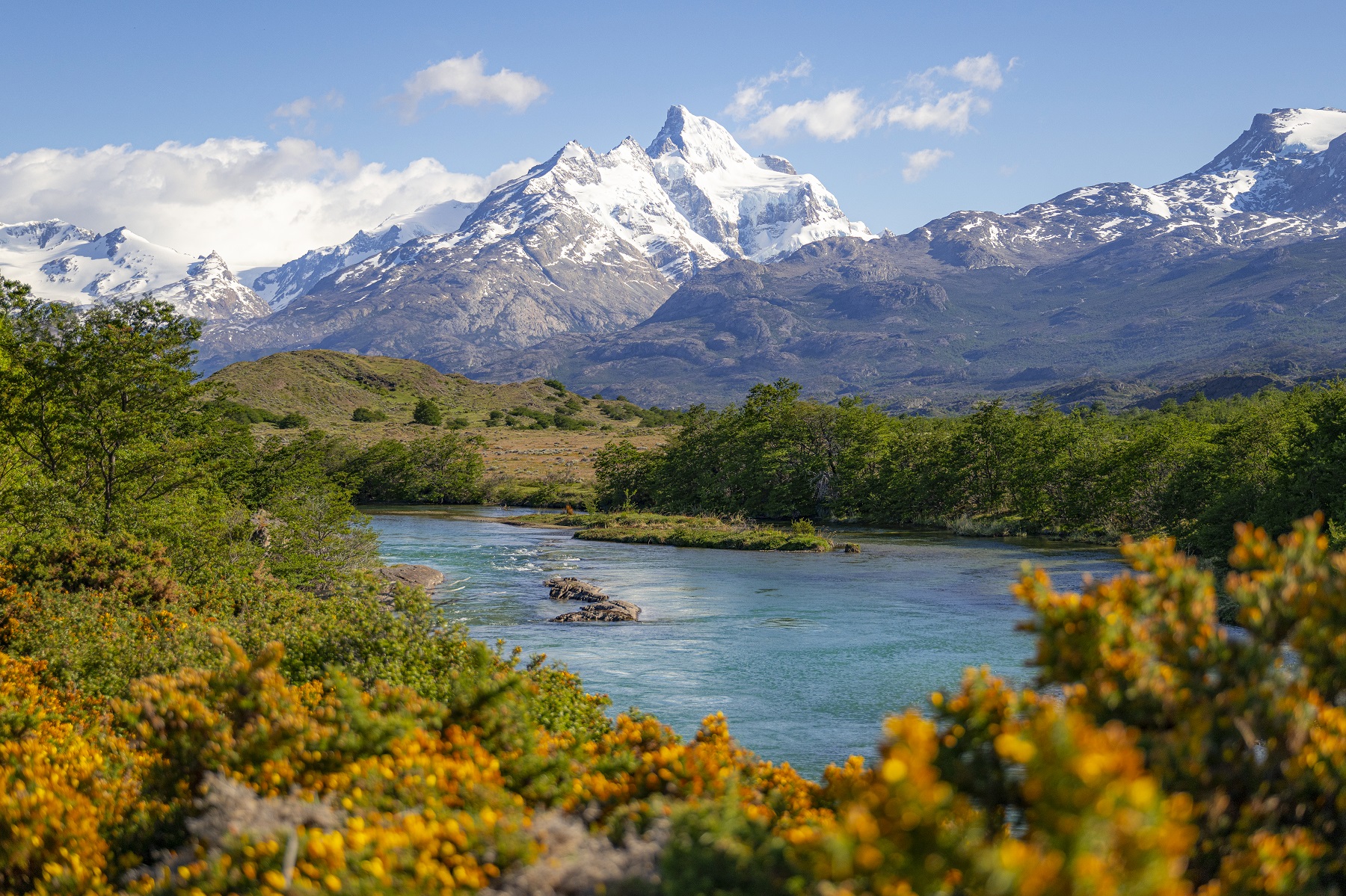 Large lake surrounded by bushes and plants, with snow-capped mountains in the distance