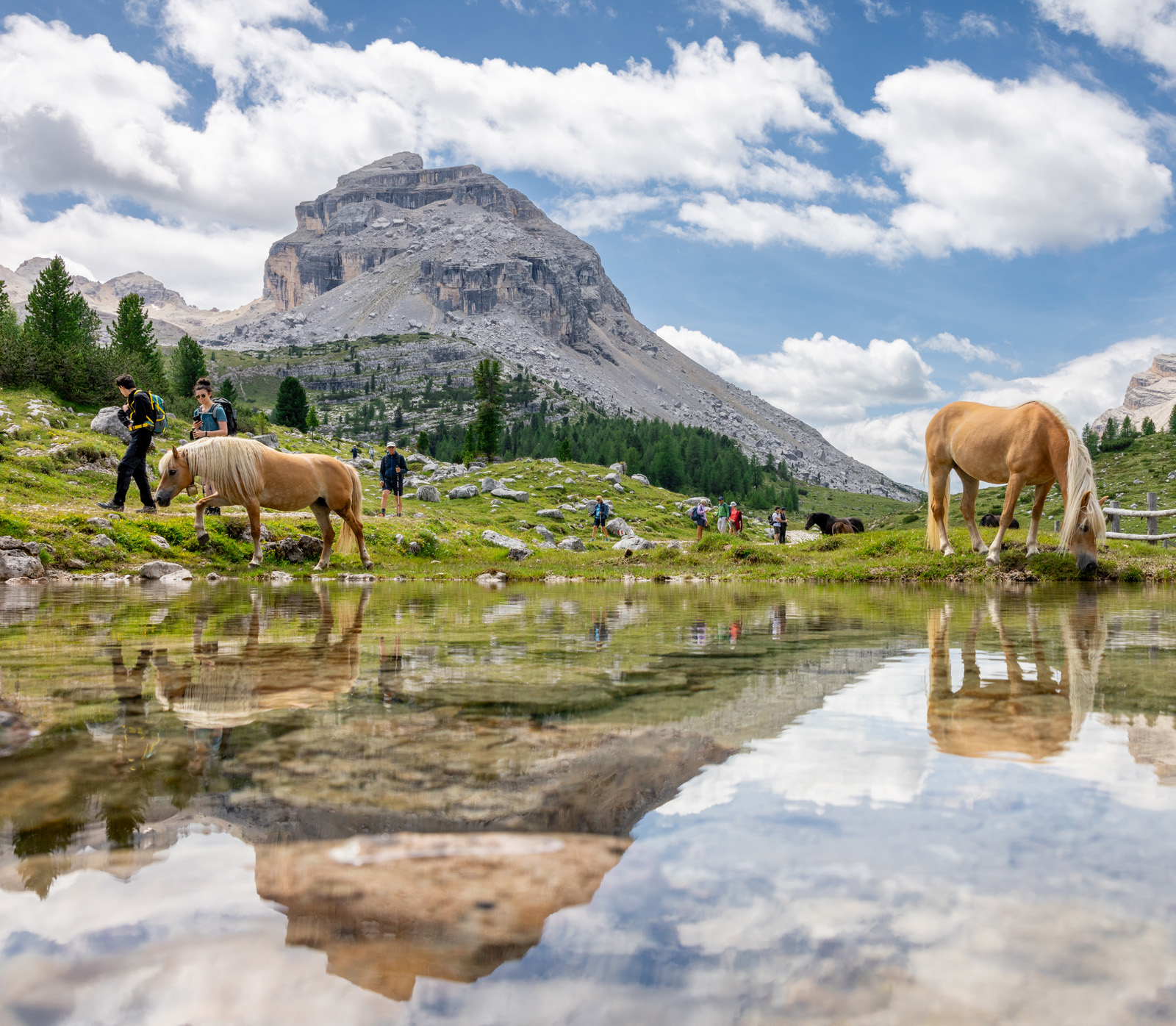 Horses walking by a pond, with a group of people walking behind