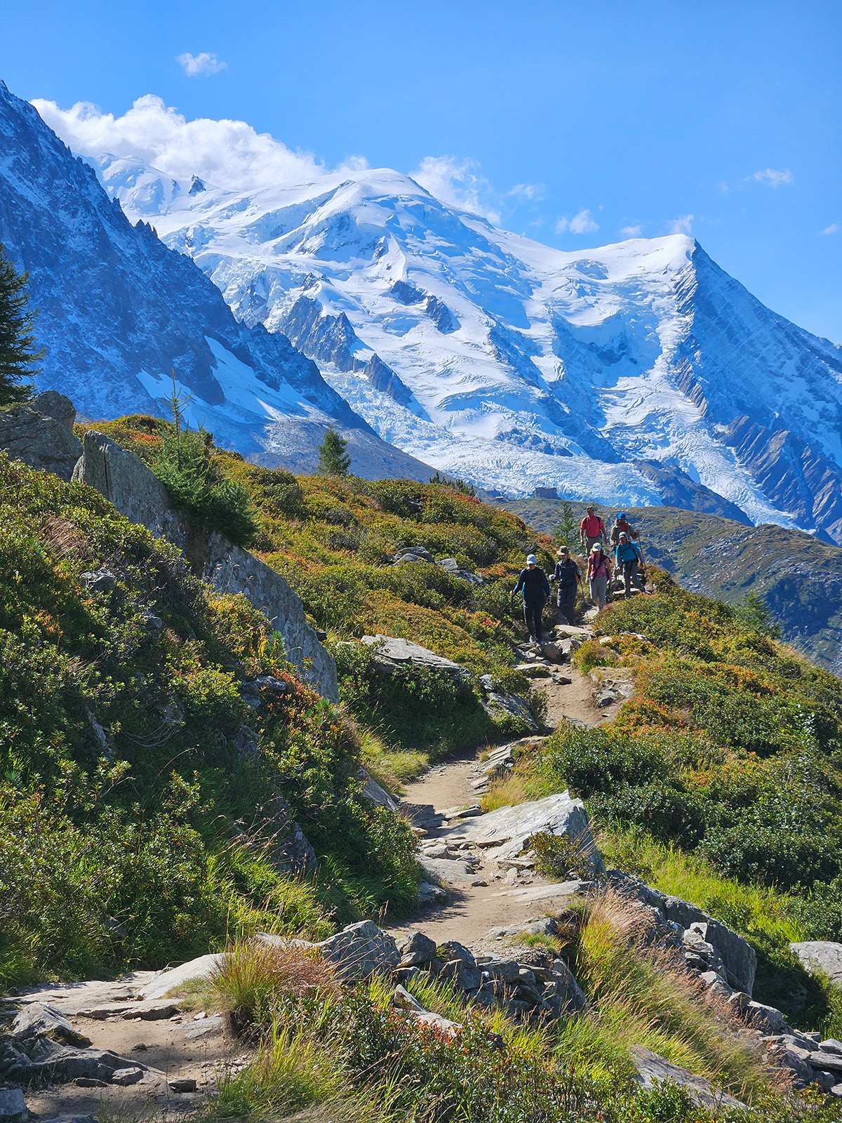 Backroads guests hiking a rocky path with snowy mountains in the back