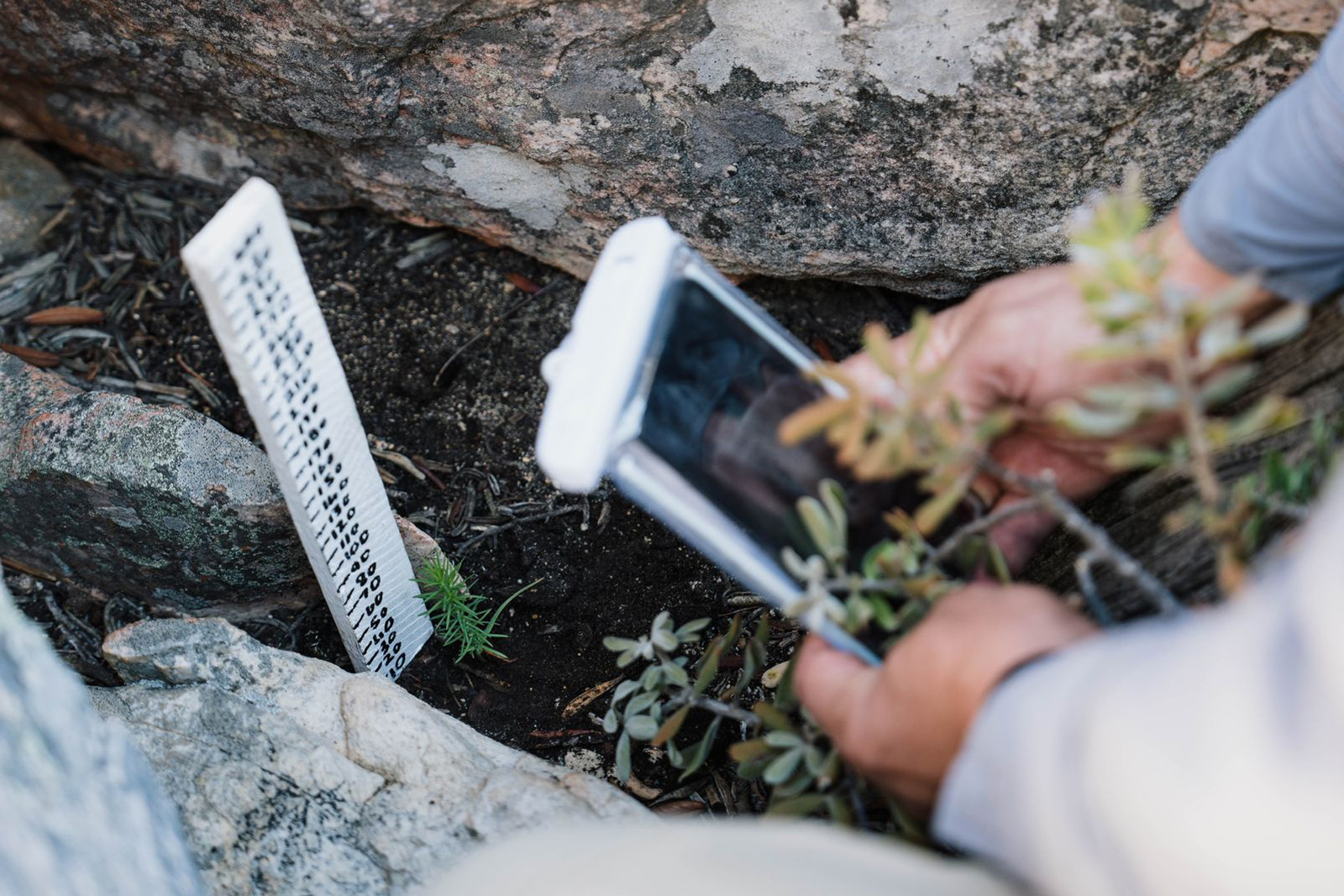 Person adding a tracker with plants in the ground