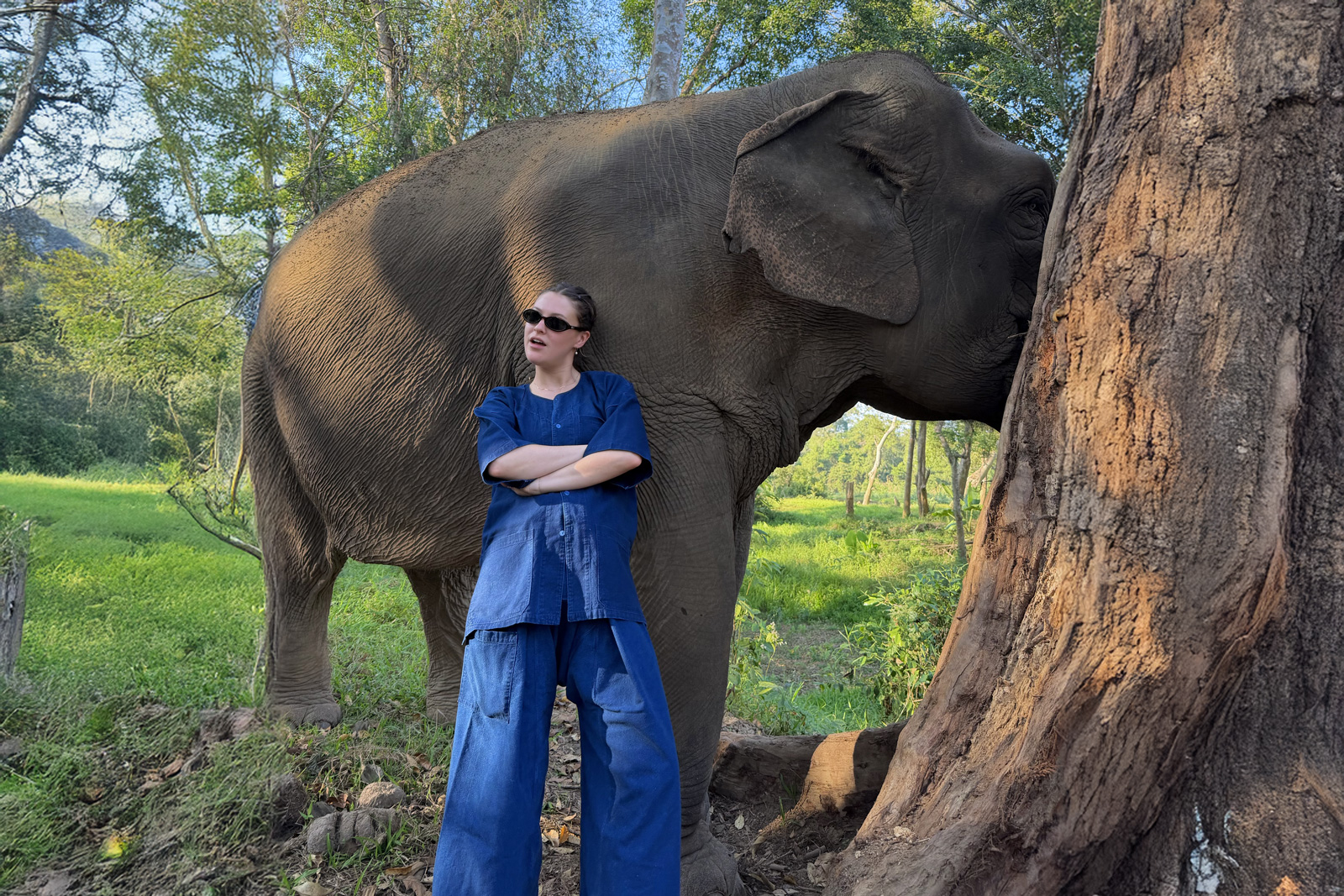 Woman wearing all blue and sunglasses, posing in front of an elephant