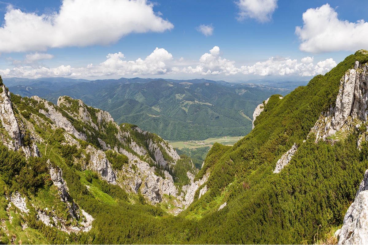 Large valley with a forest and tall mountains to the left and right