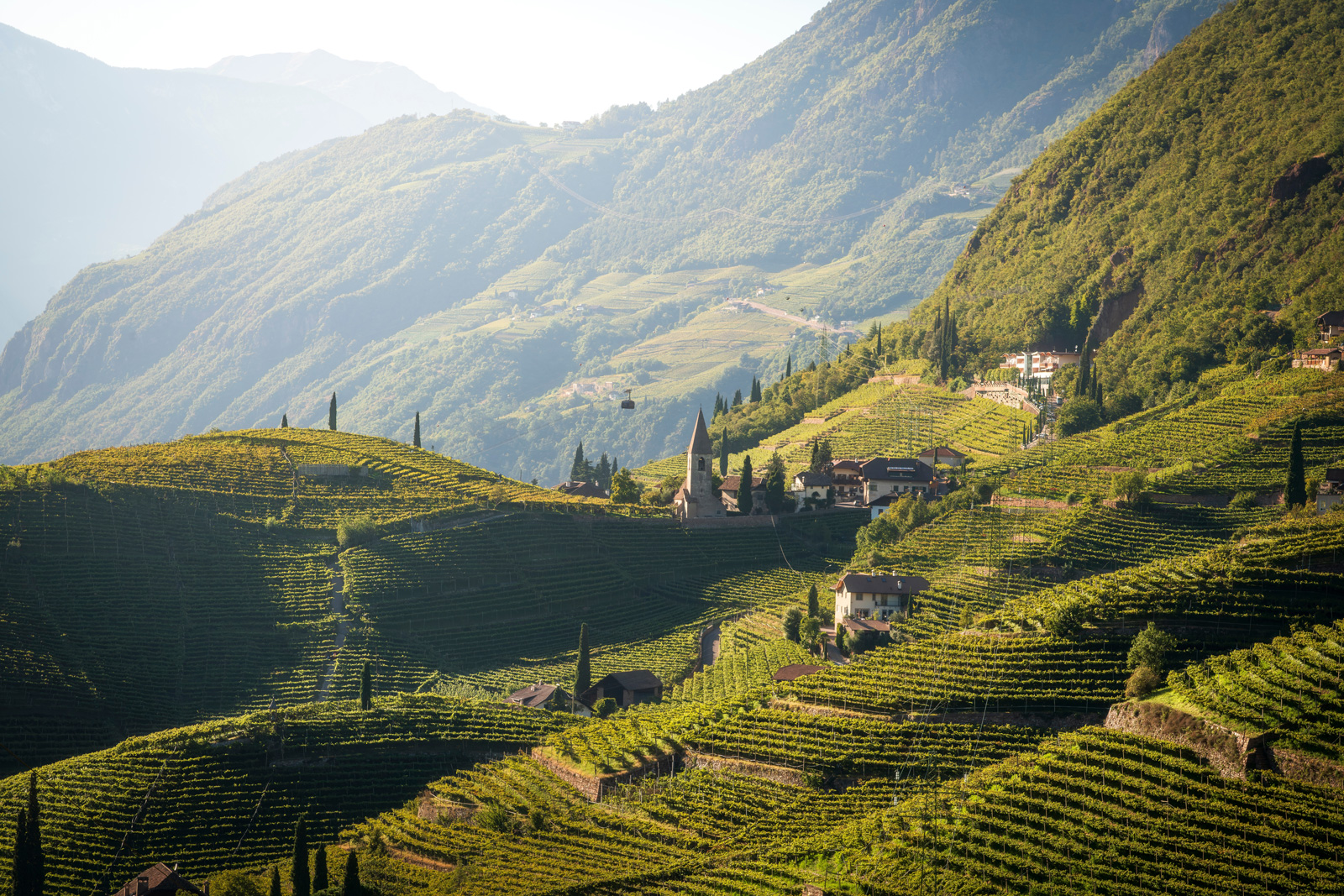 Large valley with a hill of crop fields and fog