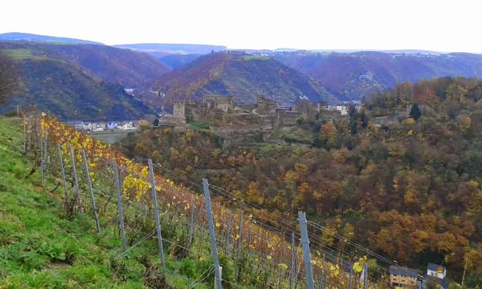 Gorgeous views along the Rhine river