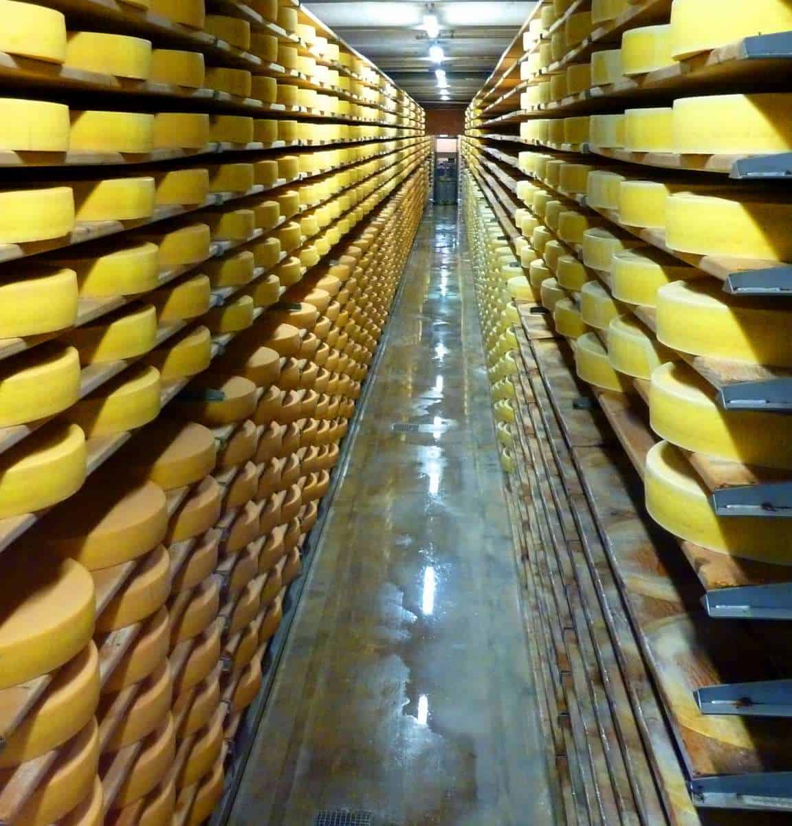 cheese aging in the warehouse at gruyeres