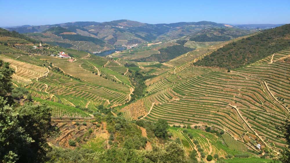 Duoro River Valley