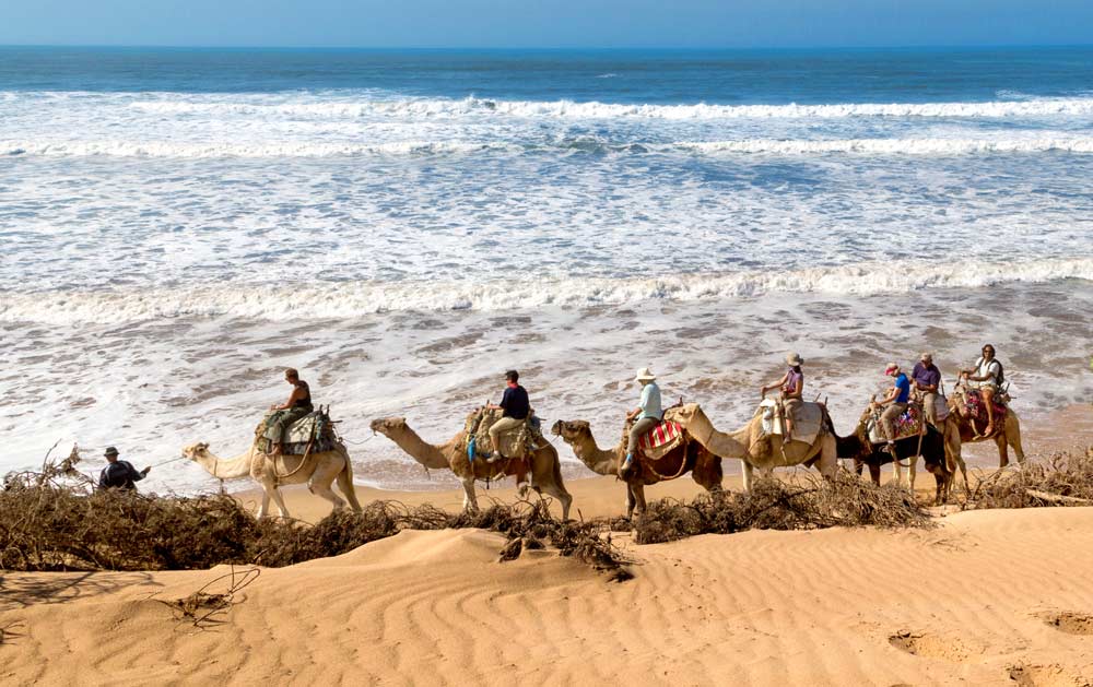Backroads Guests Riding Camels in Morocco