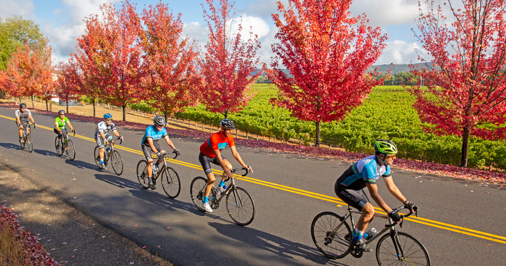 California Wine Country - Biking in Autumn