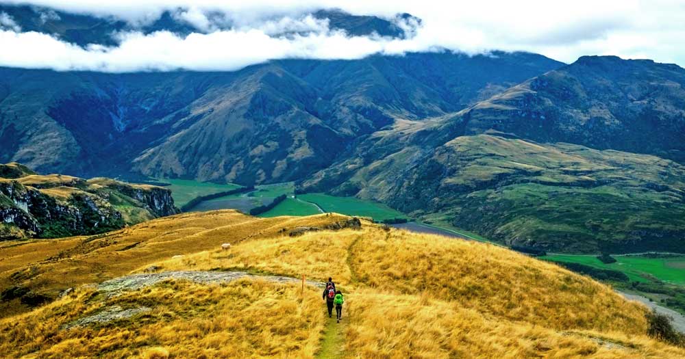 New Zealand Hiking