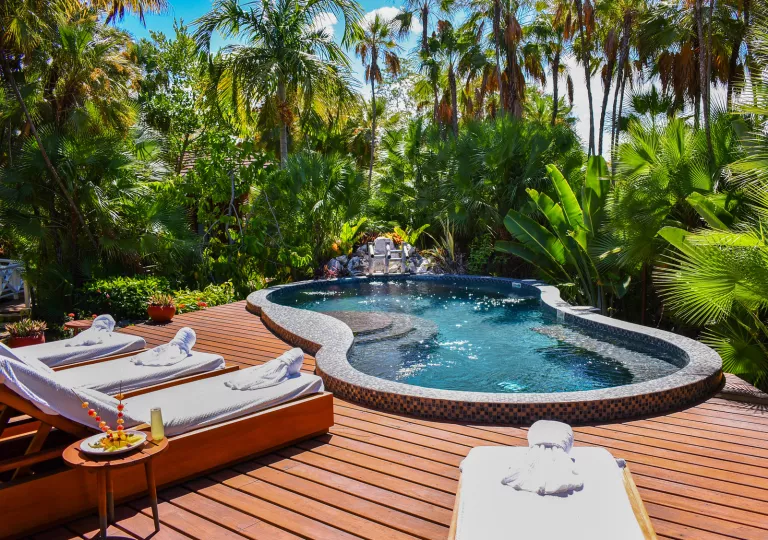 Outdoor circular pool surrounded by tall trees and reclining chairs