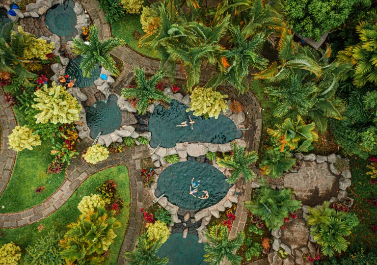 5 mini outdoor pools with people swimming inside of each pool, surrounded by tall palm trees