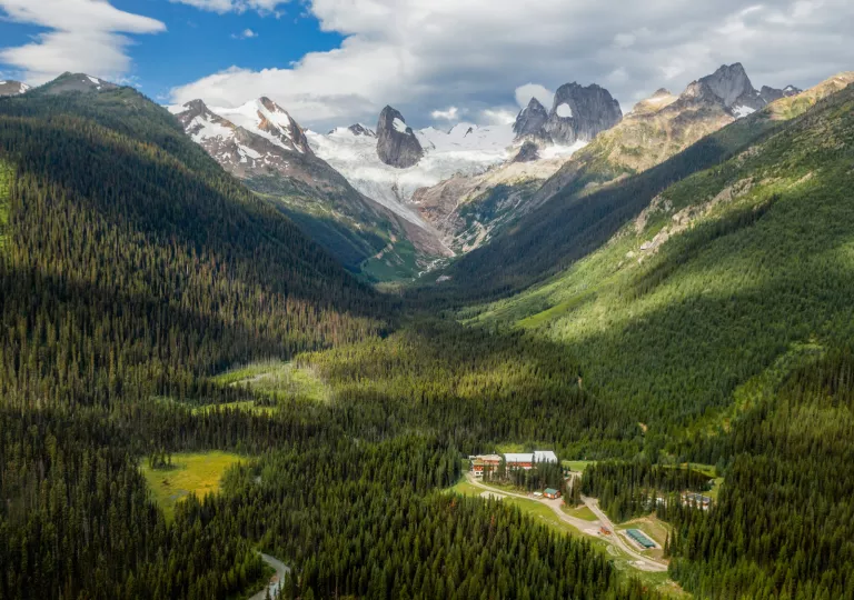 forested valley