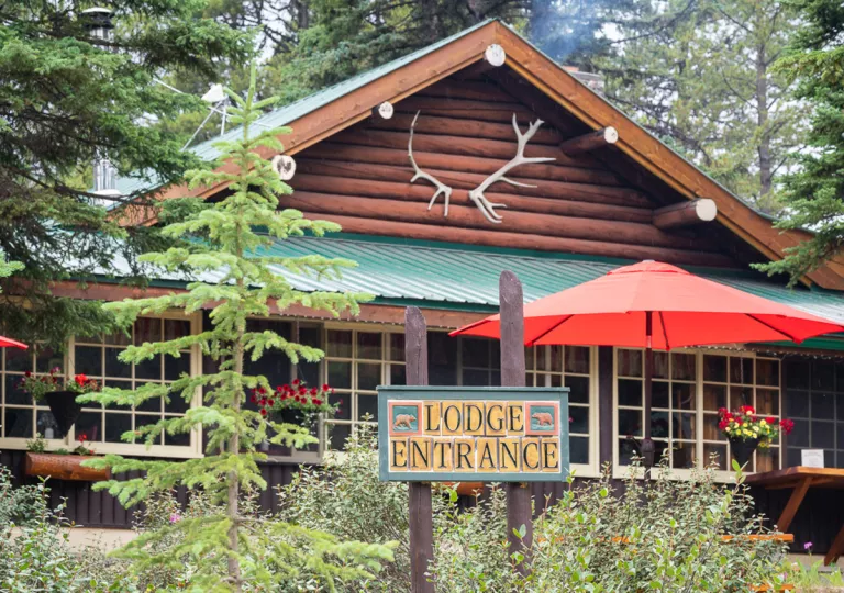 Lodge and cabin exterior view with large antlers hanging on the wall, with large trees surrounding the building