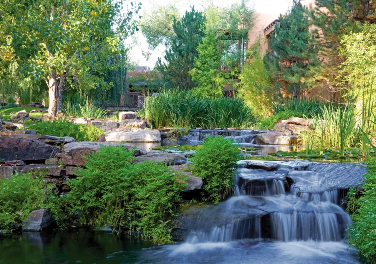 Outdoor garden with a small pond and waterfall