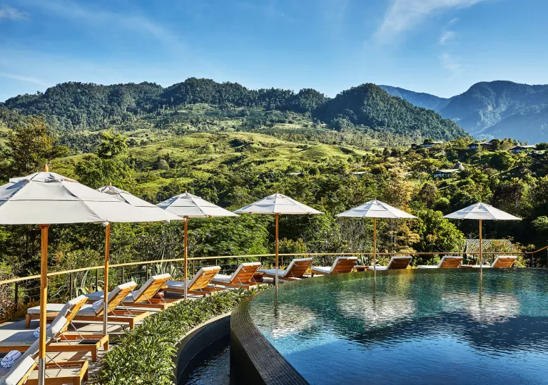 Umbrellas and lounge chairs lined up next to a pool