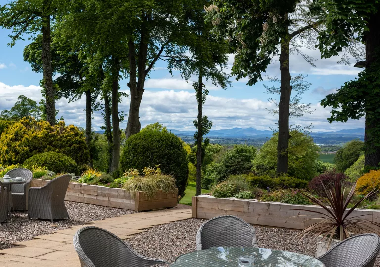 Outdoor patio with woven chairs and glass tables, with large bushes and trees in the background