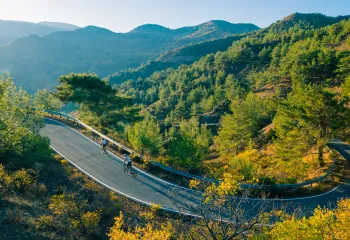 Group of people biking on an empty road with a forest in the background