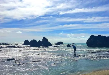 New Zealand Beach