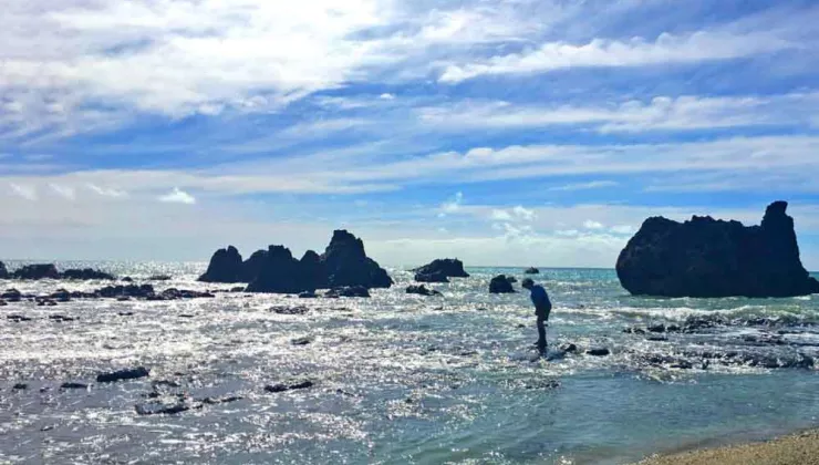 New Zealand Beach