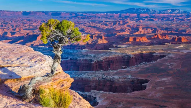 Canyonlands Vista