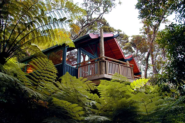 hotel in the trees
