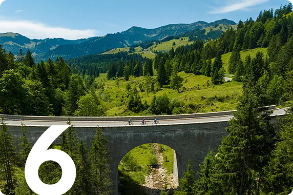 text:6; image: Bikers cross a bridge over a forest
