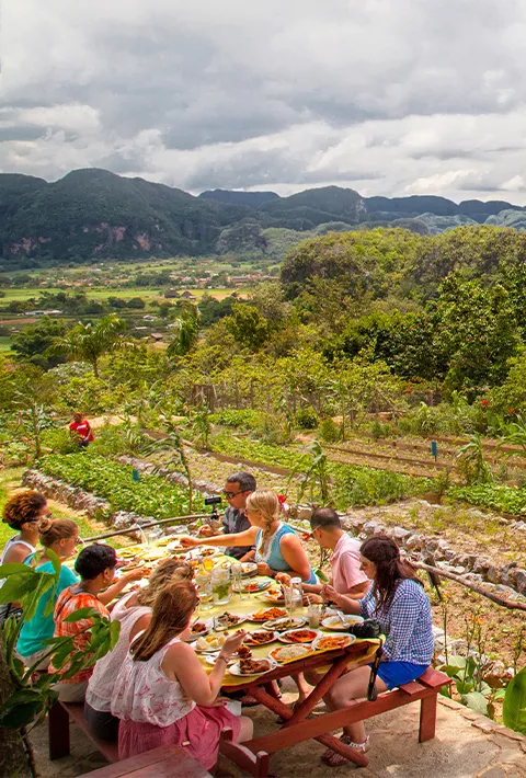 Backroads guests dinning al fresco in a garden