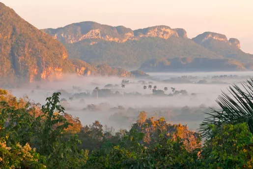Fog Valley Floor Cuba