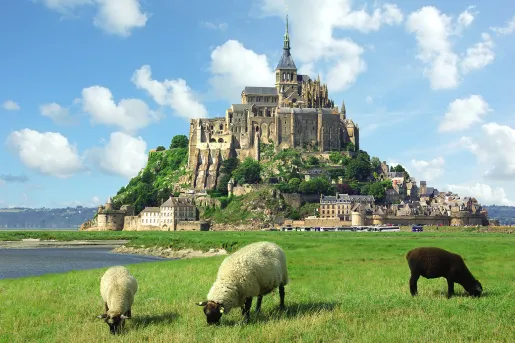 Sheep Grazing in Front of Castle