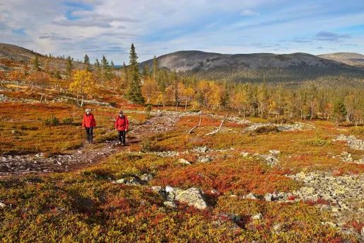 Hiking Finland
