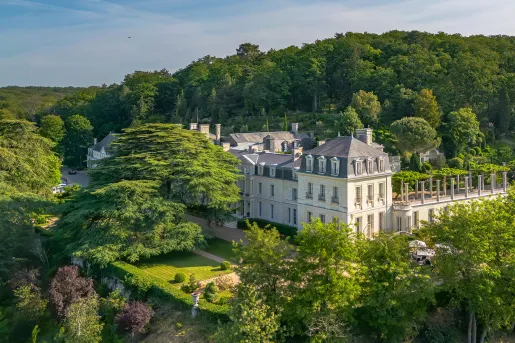 Ariel view of Chateau de Rochecotte