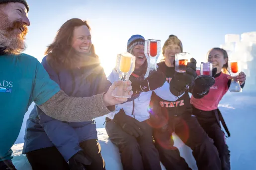 Snow Toast Arctic