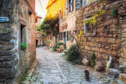 Cat running down European cobblestone alleyway.