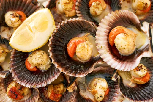 Close-up shot of cooked scallops in half-shell.