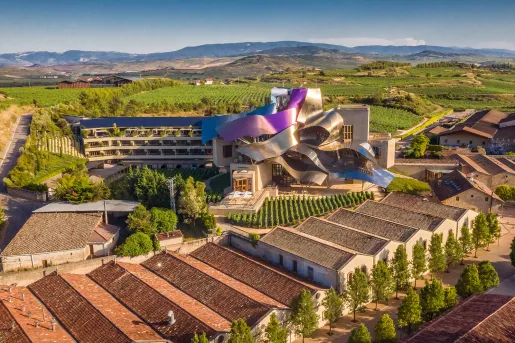 Sky view of rows of long buildings with a complex, artistic building in the center of a grass valley